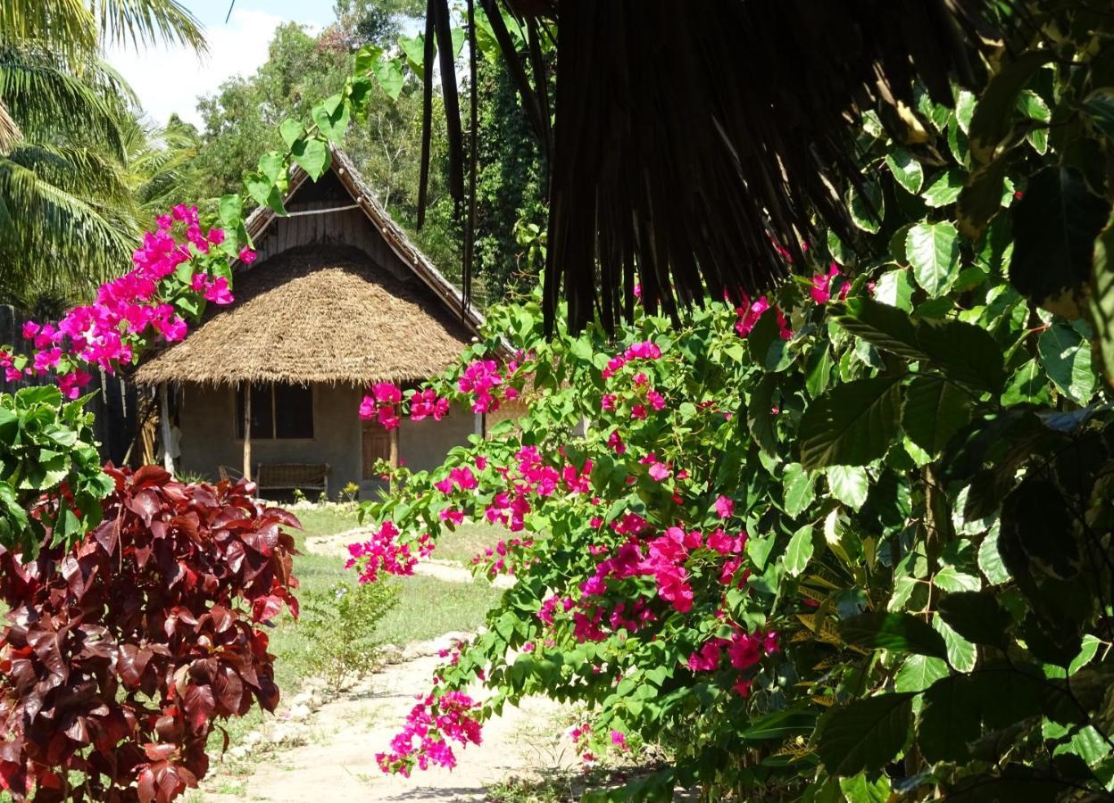 Jabar Lodge Zanzibar エクステリア 写真